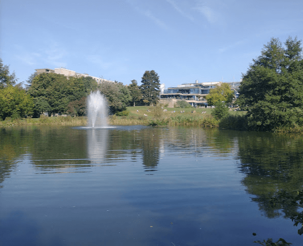 巴斯大学