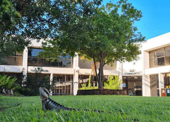 格里菲斯大学