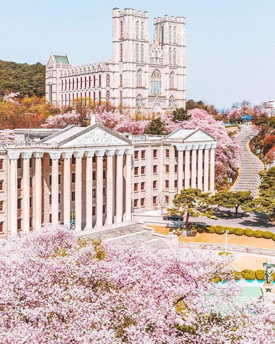 庆熙大学申请条件有哪些