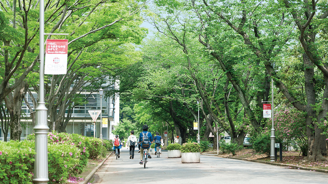 千叶大学世界排名第几？