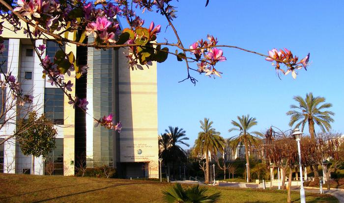 巴伊兰大学申请条件详解
