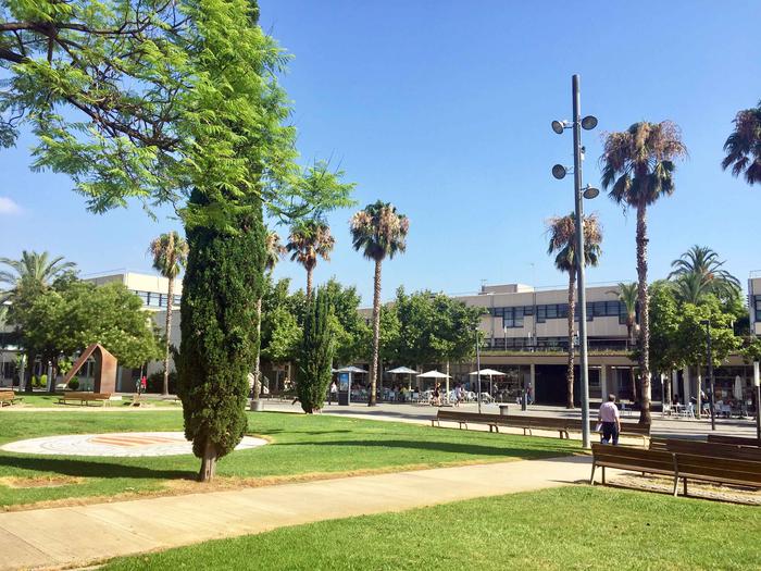 瓦伦西亚大学世界大学排名多少名
