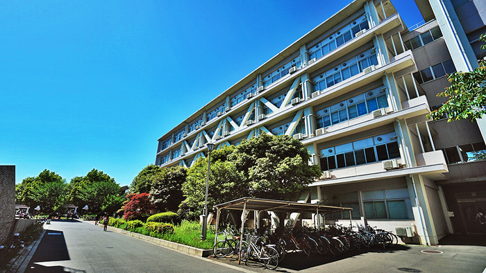 千叶大学入学条件是什么