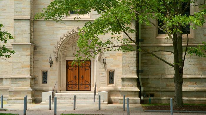 美国普林斯顿大学世界排名一览表