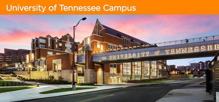 田纳西大学世界大学排名多少名