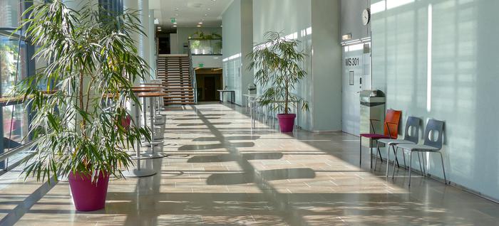 东芬兰大学入学要求