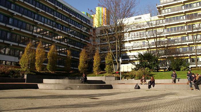 杜伊斯堡-埃森大学申请要求