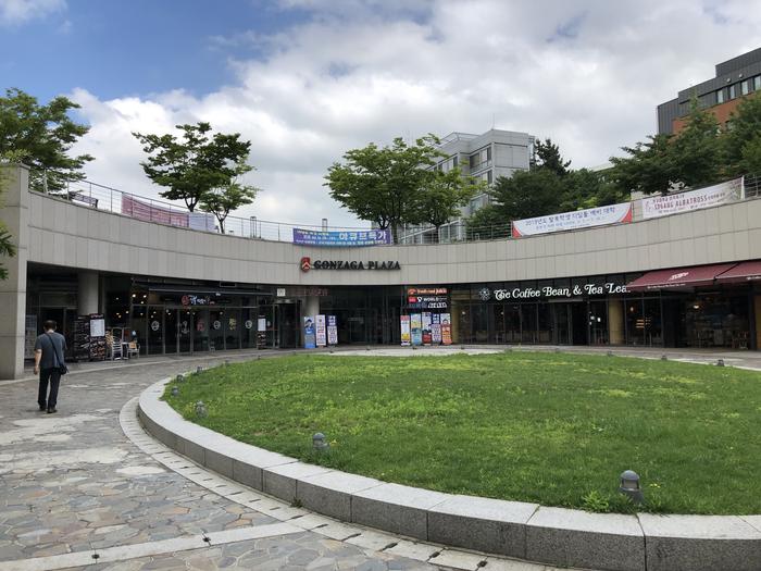 西江大学2024年世界大学排名多少