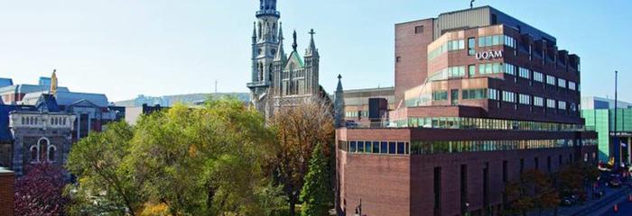 魁北克大学申请条件有哪些