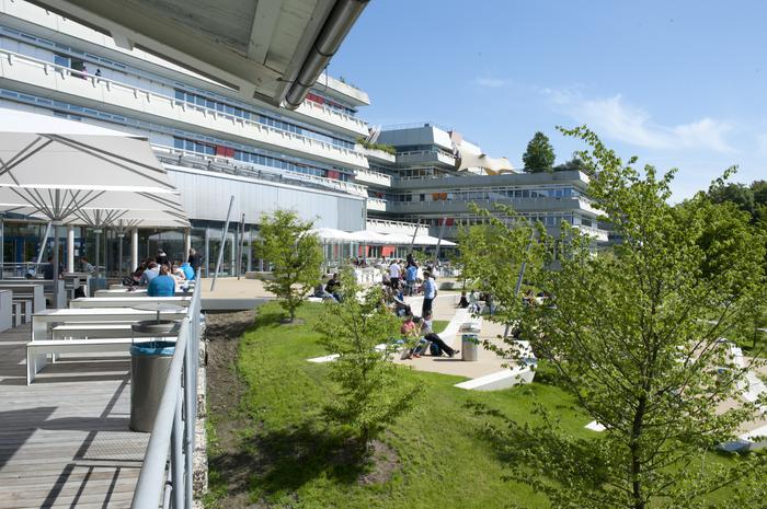 德国乌尔姆大学世界排名一览表