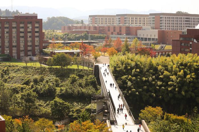 金泽大学2024年QS世界大学排名