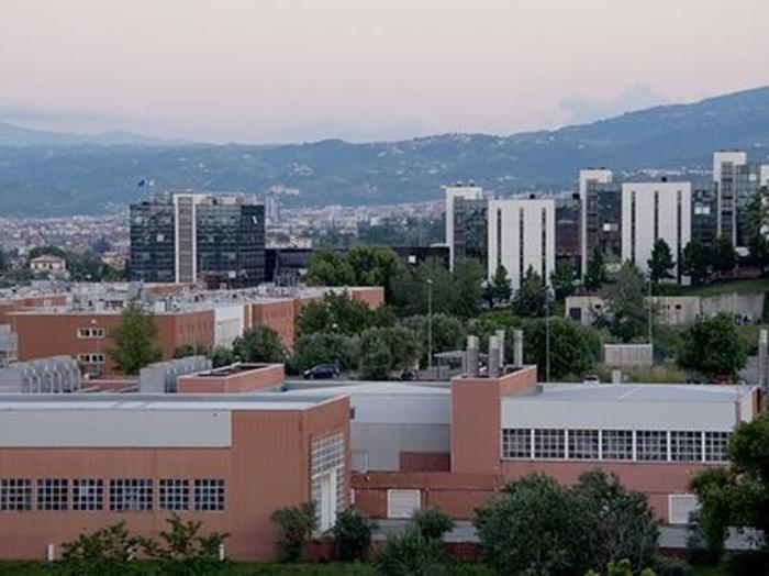 卡拉布里亚大学2024年世界大学排名多少