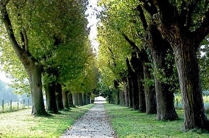 霍恩海姆大学2024年QS世界大学排名