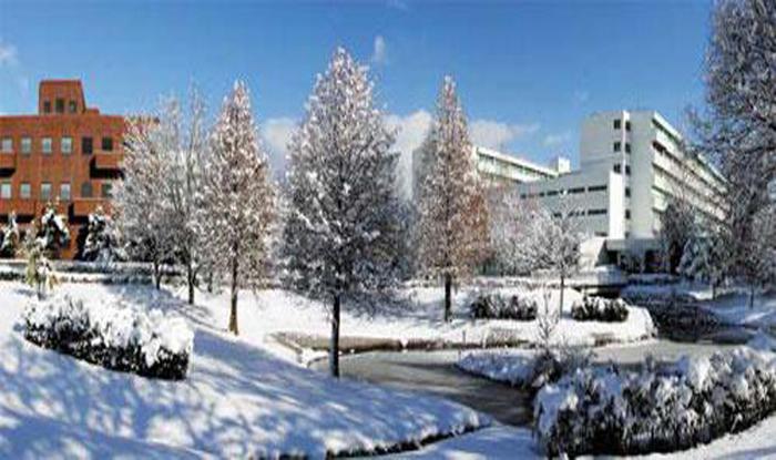 日本岐阜大学世界排名一览表