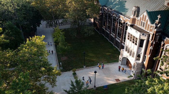 温莎大学世界排名第几位