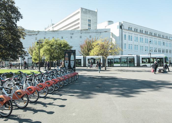 南特大学2024年世界大学排名