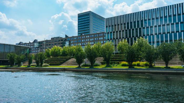 鹿特丹伊拉斯姆斯大学申请条件一览