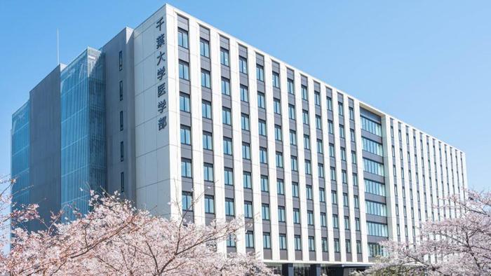 千叶大学世界大学排名第几