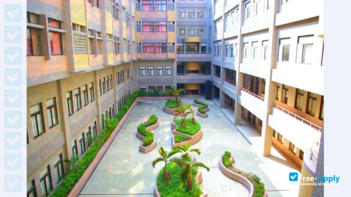 长庚大学2024年世界大学排名多少