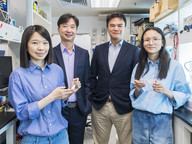 香港城市大学研究人员在开发钙钛矿太阳能电池稳定性钝化层方面取得突破