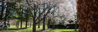 U of G Arboretum 荣获保护安大略省自然历史奖