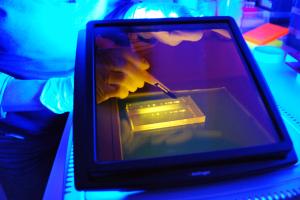 班戈大学环境生物技术设施获批资金